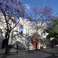 Convento do Carmo - pretty purple trees